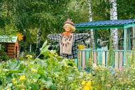 Осенний урожай