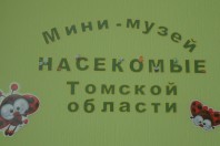 Приглашаем в мини-музей «Насекомые Томской области»!