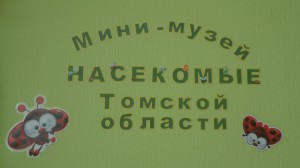 Приглашаем в мини-музей «Насекомые Томской области»!