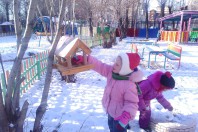 Подкормите птиц зимой!