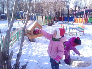 Подкормите птиц зимой!