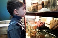 В ТГУ дошкольники провели свою первую исследовательскую работу.