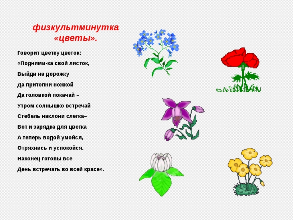 В саду у старушки росли цветы гвоздики лилии тюльпаны составить схему