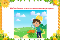 Эксперименты и наблюдения на прогулке.