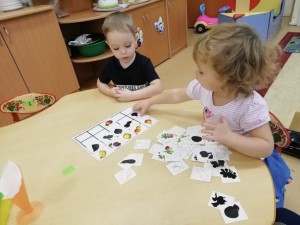 Проект «Фрукты».